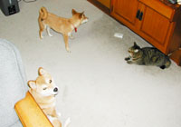 �N���b�N�l�R