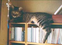 ���Ȃ̈����M�U