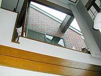 ���̏�̃M�U