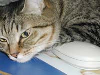 �N���b�N�l�R