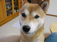 �H������V