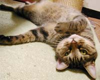 ���낮�M�U