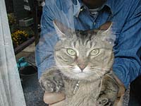 ���ɂւ΂���M�U