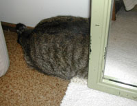 �K�B�����I