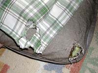 �H�ׂ�ꂽ�N�b�V����