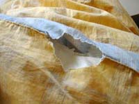 �H�z�c�̔�Q