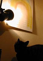 �l����_���M�U