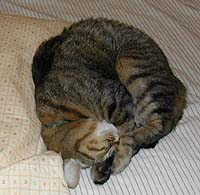 �ۂ��Ȃ��ĐQ��M�U