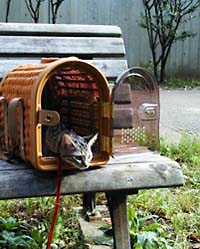 ���ʂĂ��M�U