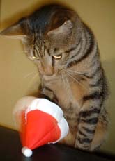 ���������̃N���X�}�X1