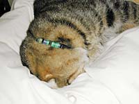 �낹�ŐQ��M�U