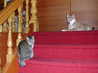 �N���b�N�l�R