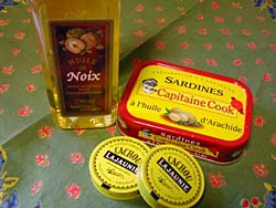 �R�[�g�_�W���[���̂��݂₰