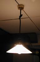 ���g���ȏƖ�