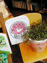 �����Ȉ֎q