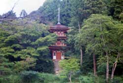 ��ڗ����O�d��