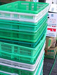 ������p���Ă�A�J�S