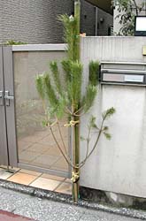 �������̏�