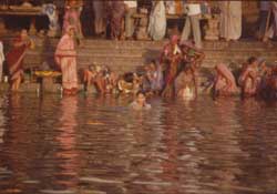 �K���K�[�̟���