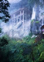 �O����������