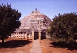 ���X�g�D�[�p