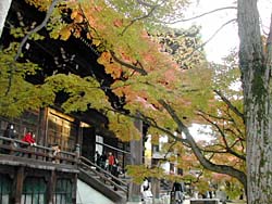 �^�@���̍g�t