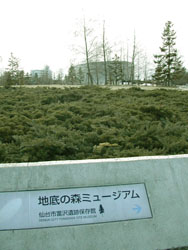 �n��̐X�~���[�W�A��