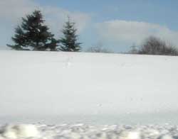 �D�y�̐�i�F