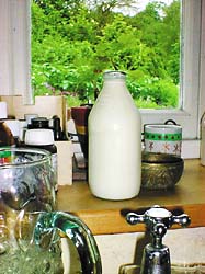 �R�b�c�E�H���Y����