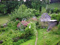 �C�M���X�̉J