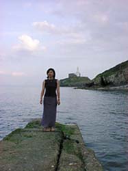 �X�E�H���W�[�̊C��