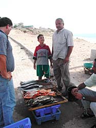 �K�U�̋�������