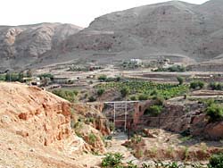 ��Ղ̂悤�ȋ�