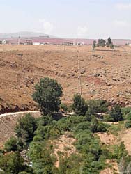 �搅�H��ƏW��