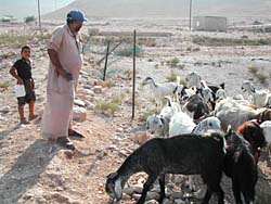 �����_���k�J�̖q�v