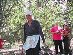 ���n�ɏI������-1