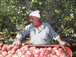 ���n�ɏI������-3