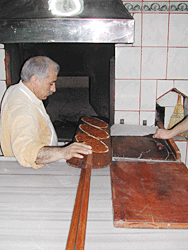 �n���ɂ���j�V�F���^�[