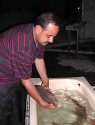 ���̂̂�����