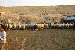 �������x�h�E�B������