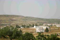 �����t�F���X