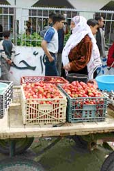 �C�`�S�𔄂鏗��