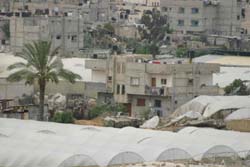 �����̔j��