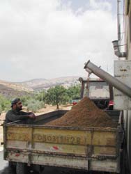 �唞������󂯂�_��