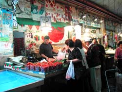 �}�n�l�G�t�_�s��̖�؉�����