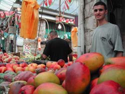 �R�ς݂�ꂽ�}���S�[