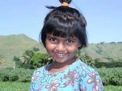 �C���f�B�A���K�[��